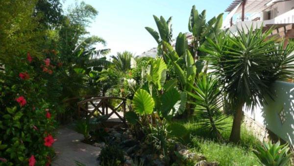 Marino Apartment Almunecar Bagian luar foto